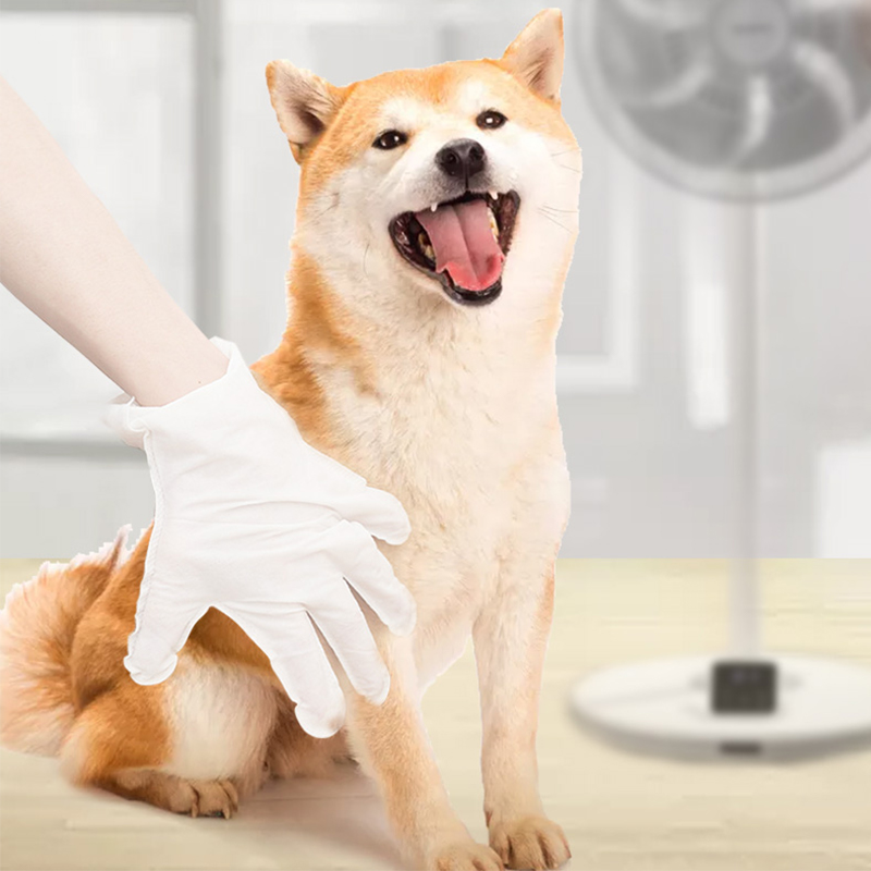 Sử dụng găng tay vải không dệt dùng một lần cho thú cưng có tốt không?